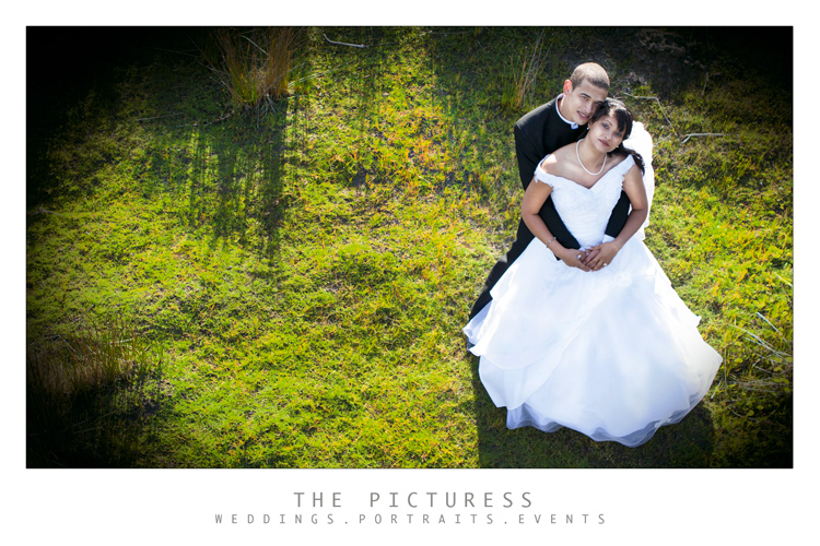 Wedding Photographer in Cape Town Wedding Photographer in Cape Town