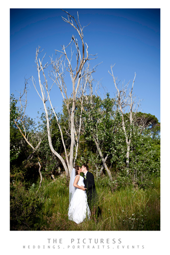 Wedding Photos Wedding Photos