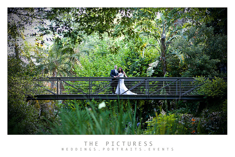 Cape Town Wedding Photos Cape Town Wedding Photos