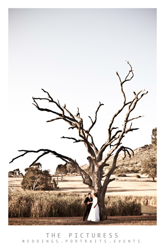 Cape Town Wedding Photographer Cape Town Wedding Photographer