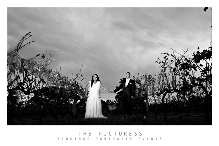 Welgelee Weddings Welgelee Weddings