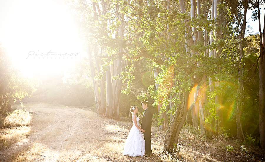 Citrusdal Wedding Photos