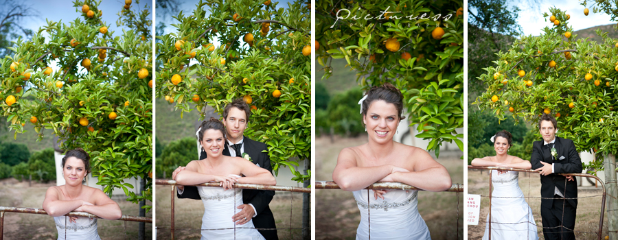 Citrusdal Wedding Photos