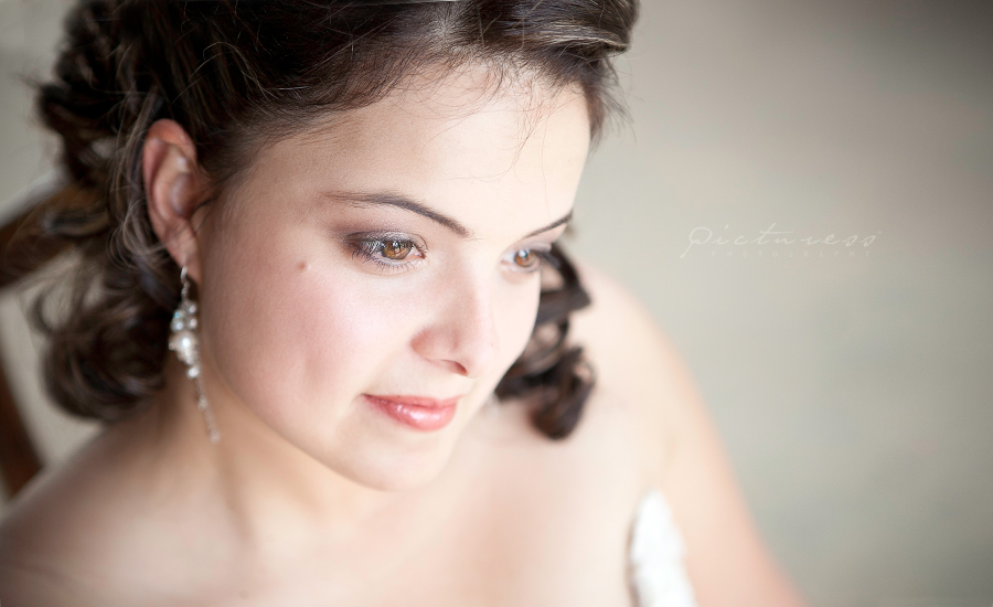 Wedding Photos in Riebeek Kasteel