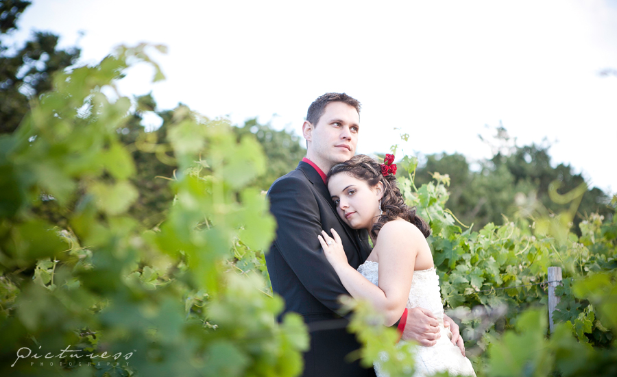 Wedding Photos in Riebeek Kasteel