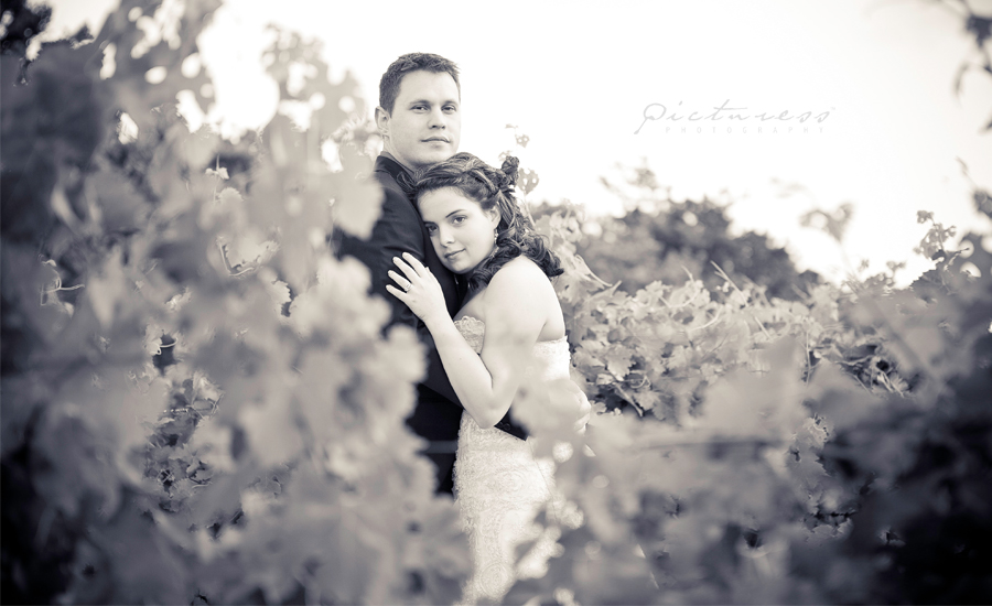 Wedding Photos in Riebeek Kasteel