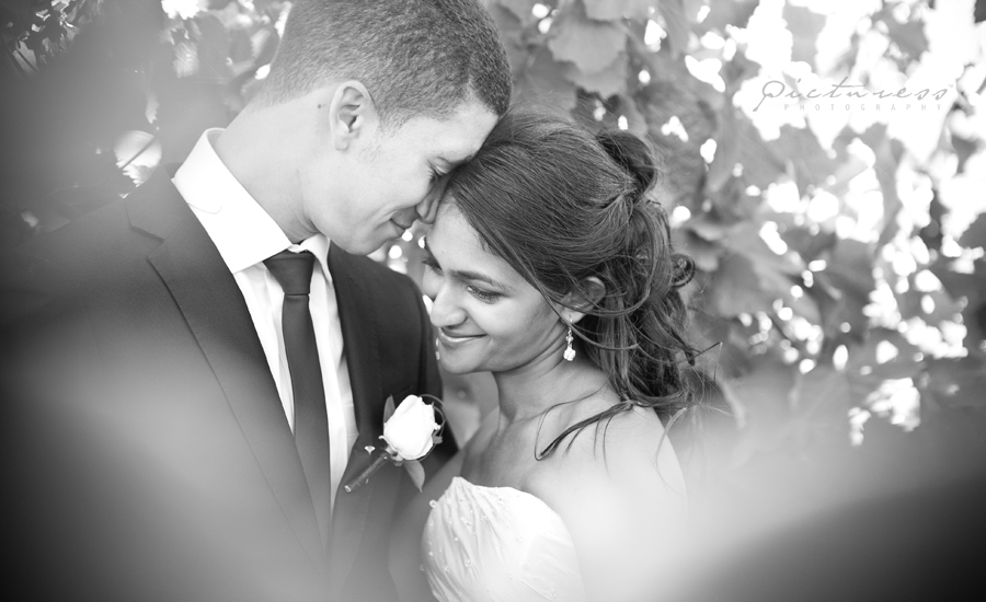 Neethlingshof Wedding Photos