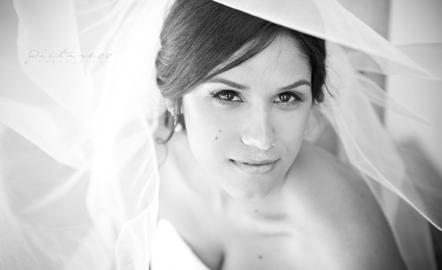 Cape Town Wedding Photographer