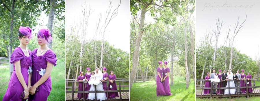 Cape Town Wedding Photographer