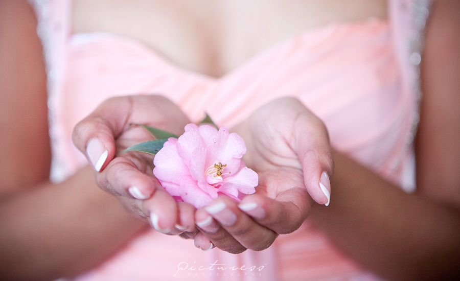 Cape Town Photographer