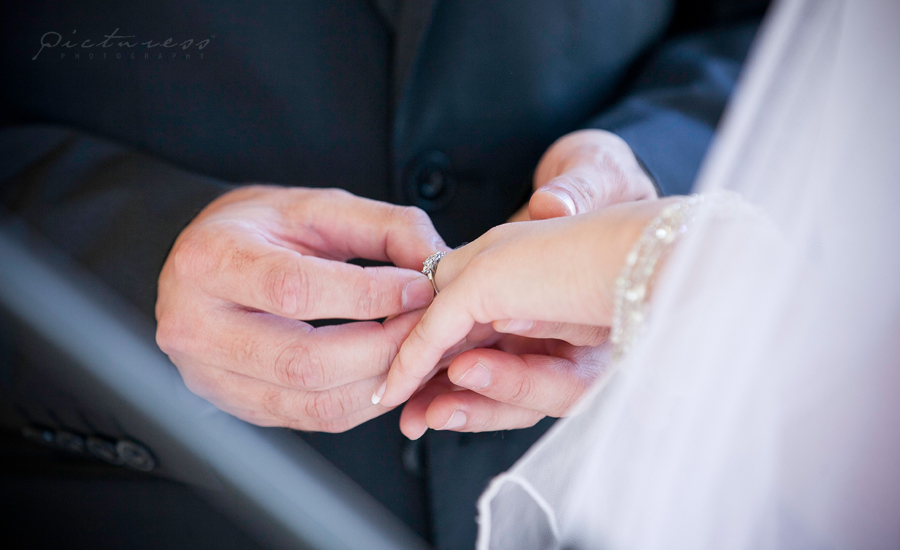 Cape Town Wedding Photography