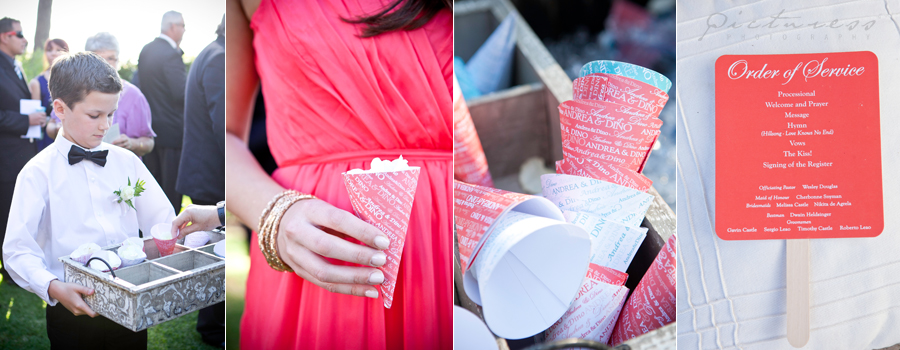 Cape Town Wedding Photography