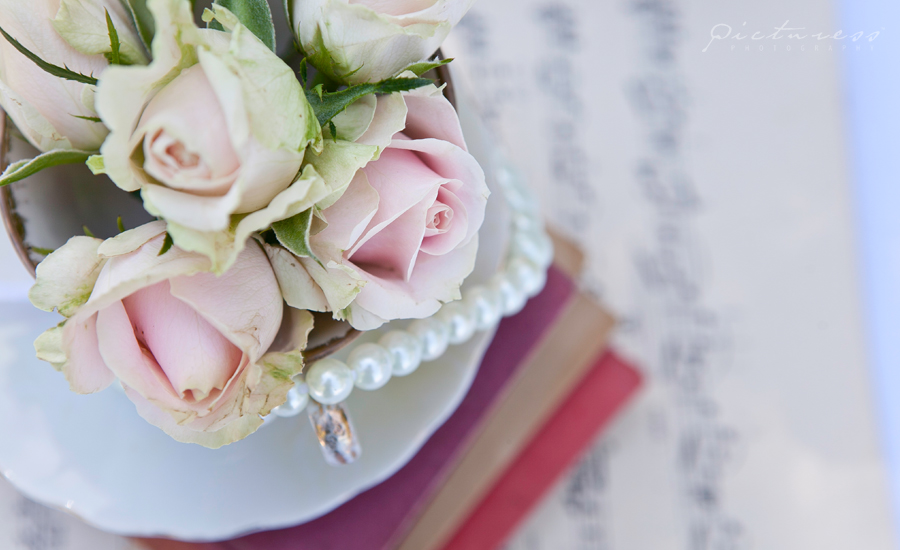 Cape Town Wedding Photographer