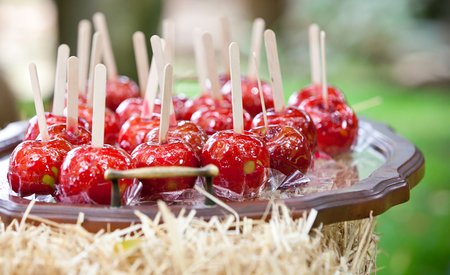 Cape Town Wedding Photographer